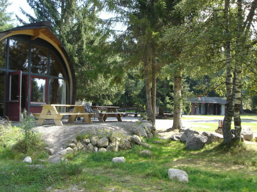 Waldpädagogik am Naturcamp